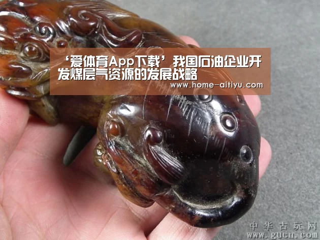 ‘爱体育App下载’我国石油企业开发煤层气资源的发展战略(图2) 爱体育